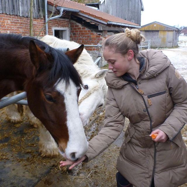 Ich hoffe du bist bald meinz!#horse #pferd #whisky #whiskey #withcolors #my #dream #love #159 #kleines #bayrischeswarmblut # #